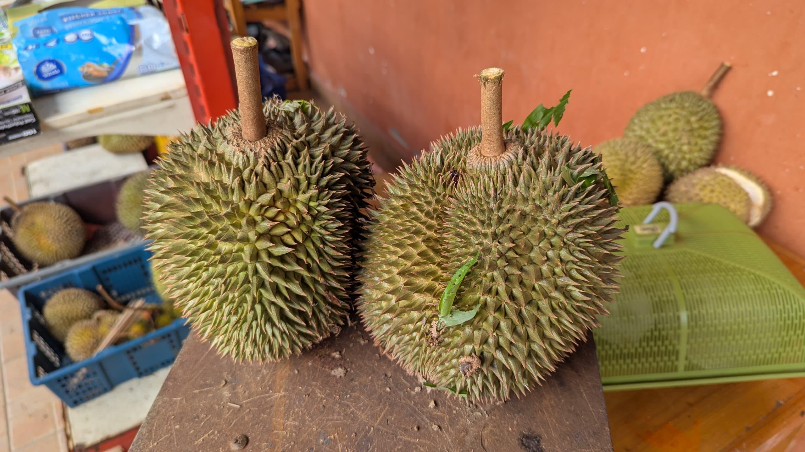 Durian Kampung